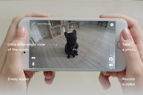 Illustration for article titled This Petcube Camera Can Toss Treats and Even Has Alexa Built-In